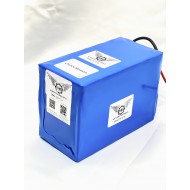 24Volt 12Ah LiFePO4 Batarya